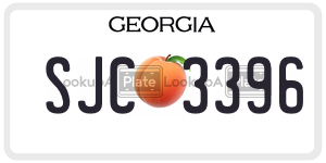 SJC3396 license plate in Georgia