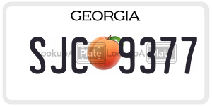 SJC9377  license plate in GA