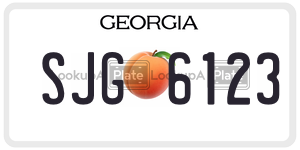 SJG6123  license plate in GA