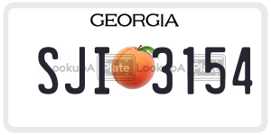 SJI3154  license plate in GA