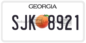 SJK8921  license plate in GA