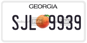 SJL9939 license plate in Georgia