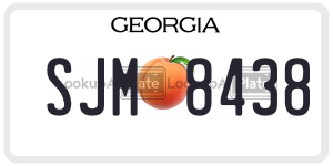 SJM8438  license plate in GA