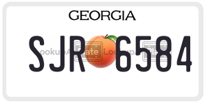 SJR6584 license plate in Georgia