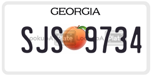 SJS9734  license plate in GA