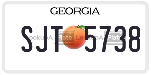 SJT5738  license plate in GA