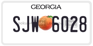 SJW6028 license plate in Georgia