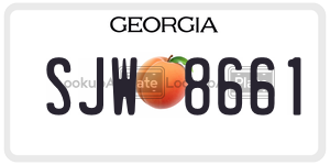 SJW8661  license plate in GA