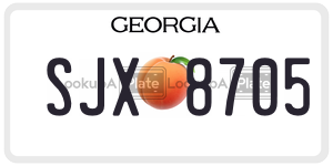 SJX8705 license plate in Georgia