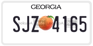 SJZ4165  license plate in GA