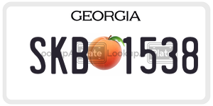 SKB1538 license plate in Georgia