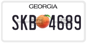 SKB4689  license plate in GA