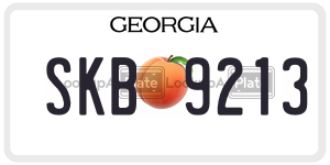 SKB9213 license plate in Georgia