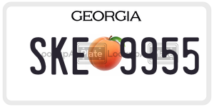 SKE9955  license plate in GA