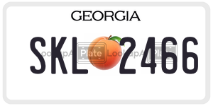 SKL2466  license plate in GA