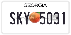 SKY5031  license plate in GA