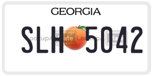 SLH5042  license plate in GA