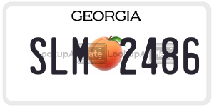 SLM2486 license plate in Georgia