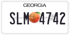 SLM4742  license plate in GA