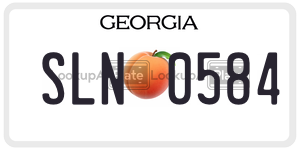 SLN0584  license plate in GA