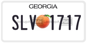 SLV1717  license plate in GA