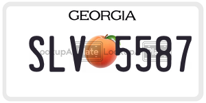 SLV5587  license plate in GA