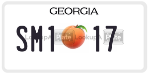 SM117  license plate in GA