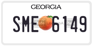 SME6149  license plate in GA