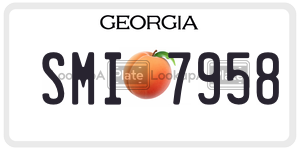 SMI7958  license plate in GA