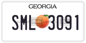 SML3091  license plate in GA