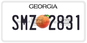 SMZ2831  license plate in GA