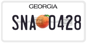 SNA0428  license plate in GA