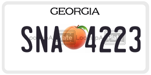 SNA4223  license plate in GA