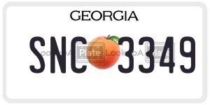 SNC3349  license plate in GA