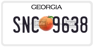 SNC9638  license plate in GA