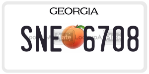 SNE6708  license plate in GA