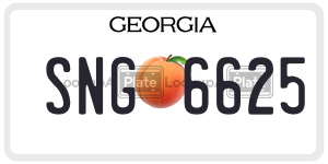 SNG6625  license plate in GA