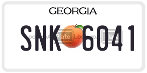 SNK6041  license plate in GA