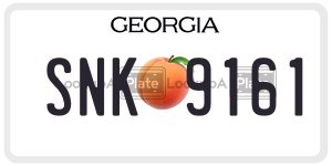SNK9161  license plate in GA