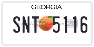 SNT5116  license plate in GA