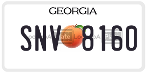 SNV8160  license plate in GA