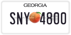 SNY4800  license plate in GA