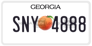 SNY4888  license plate in GA