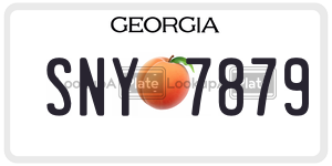 SNY7879  license plate in GA