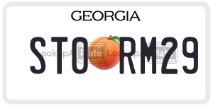ST0RM29  license plate in GA