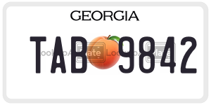 TAB9842  license plate in GA