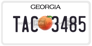 TAC3485 license plate in Georgia