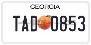 TAD0853 license plate in Georgia
