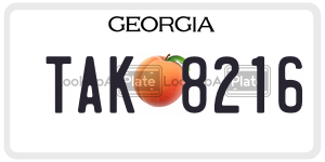 TAK8216  license plate in GA