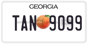 TAN9099 license plate in Georgia
